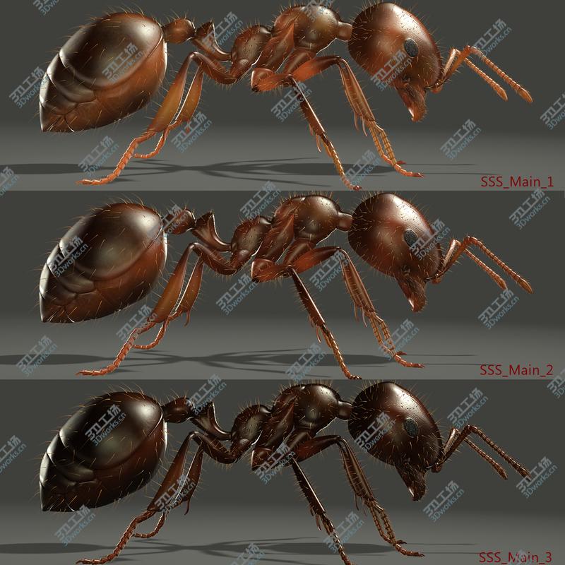 images/goods_img/2021040233/Fire Ant (ANIMATED)/4.jpg